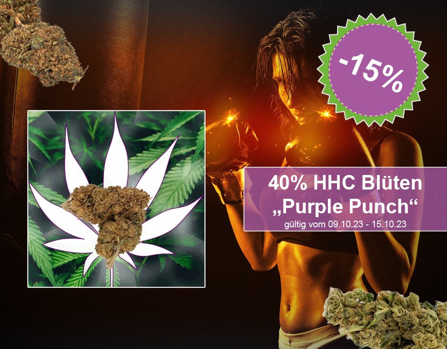 HexeCbd's tweet image. 🌿 Angebot der Woche bei CBD Hexe! 🌿

Entdecke unsere hochwertigen HHC Blüten "Purple Punch" mit beeindruckenden 40% #HHC Gehalt – jetzt mit 15% #Rabatt auf cbd-hexe.de! 💜✨

Schnell zugreifen, solange der Vorrat reicht! 🔥

#AngebotDerWoche #HHCBlüten💚🌟