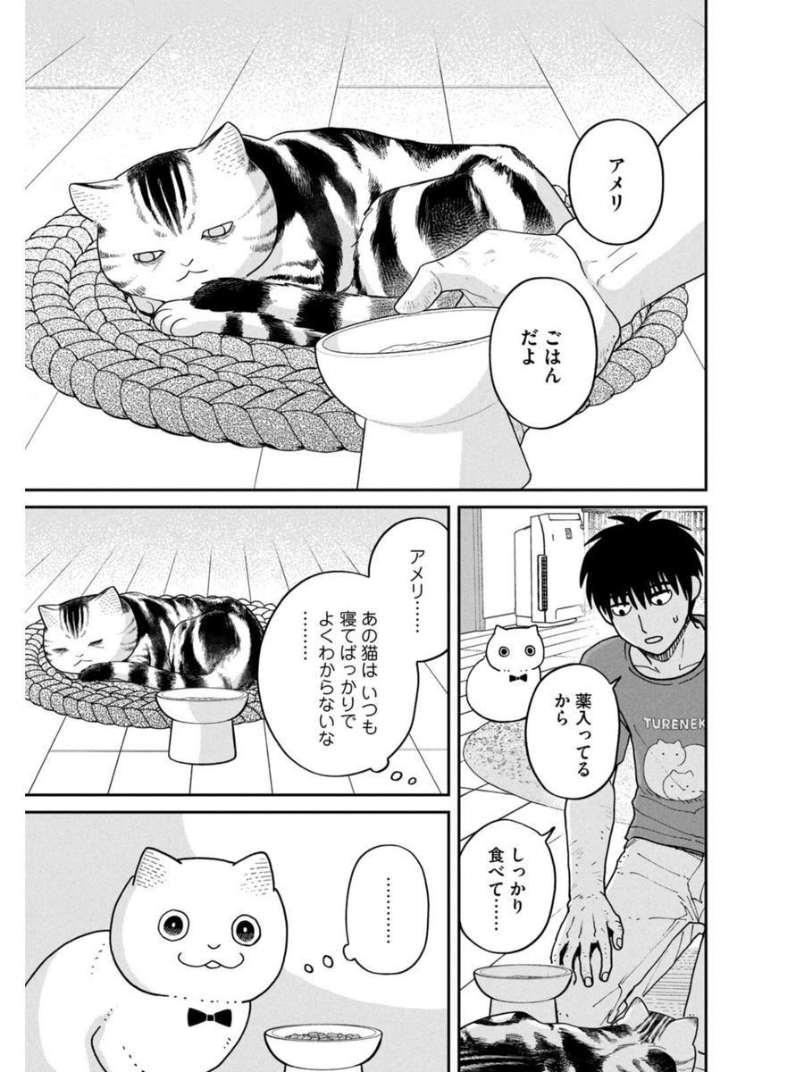 繁殖場出身の猫のその後(1/3) #マルルとハチ #ツレ猫マルルとハチ #漫画が読めるハッシュタグ