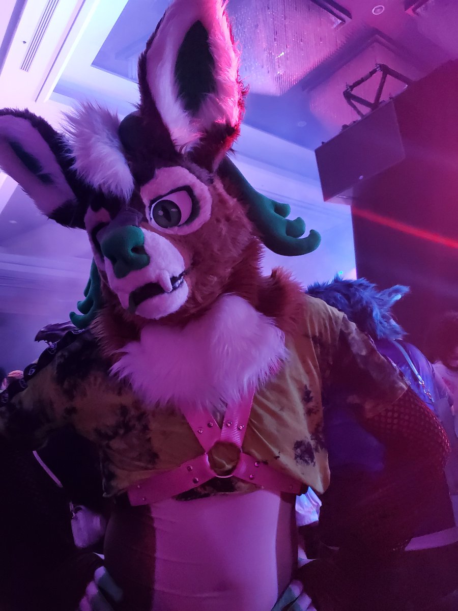 AtticusAD's tweet photo. Pretty colors
#MFF22 #FursuitFriday #Furry #Fursuit https://t.co/NOitLmD2y5