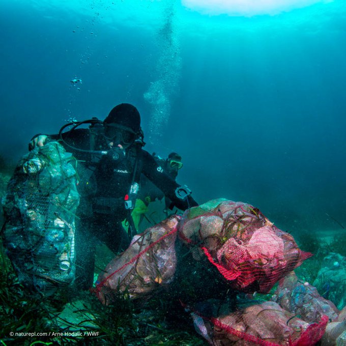 🦦 Plastic pollution is choking our rivers and oceans.

🥤 To #StopPlasticPollution, the #PlasticsTreaty must include global bans on the most harmful plastic products.

RT to show your support!