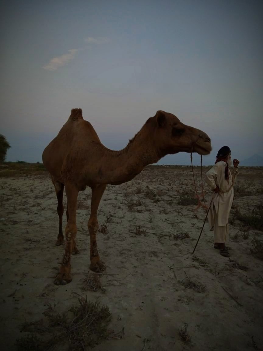 zoyabaluch's tweet photo. گوادر بلوچستان ❤️ https://t.co/rkyvewK13v