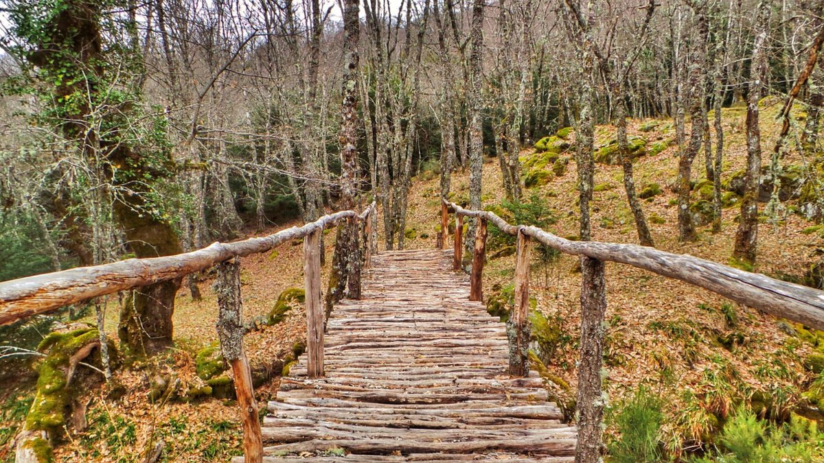 ZamoraSpain's tweet photo. Pedalea entre fuentes, castaños gigantes, robledales y profundos cañones; observar aves, nutrias, lobos, jabalíes, zorros, ciervos y venados en la Ruta Transfronteriza Alta Sanabria 😍

Toda la información que necesitas la encuentras en https://t.co/tZ03jhRVI0

#zamoraenamora https://t.co/cfwoePlikf