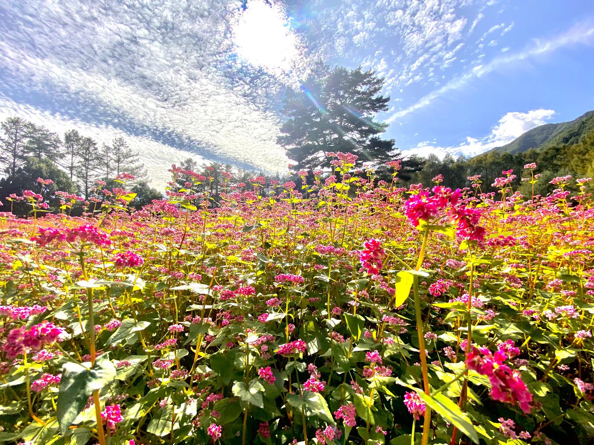 試運転がてらのミニミニラーツーしたん！楽しかった☺️