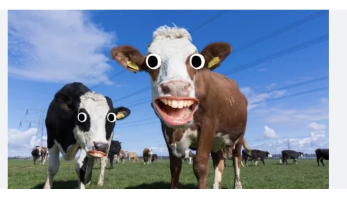 Paul Tompkins tweet media