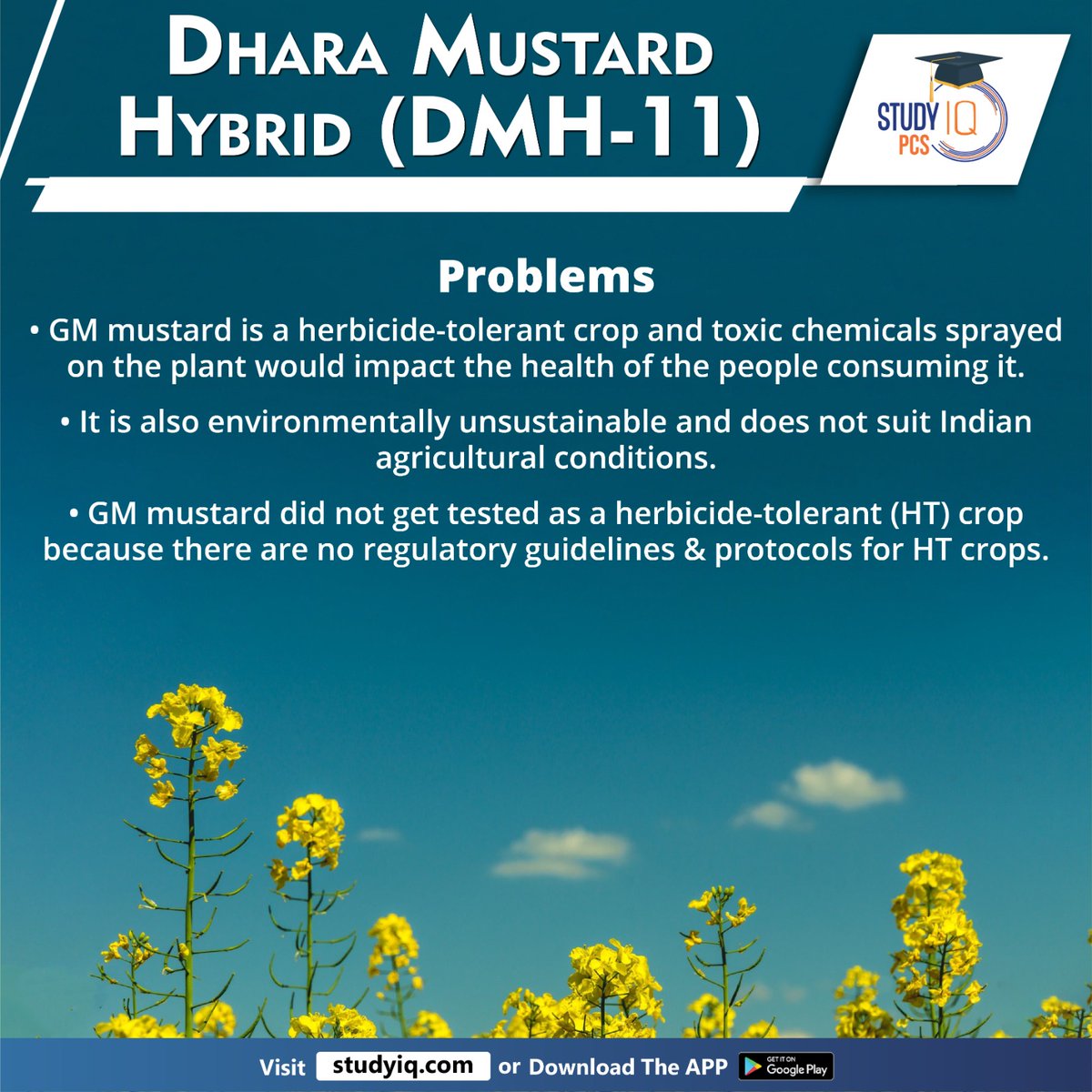 Dhara Mustard Hybrid (DMH-11)

#dharamustardhybrid #dmh11 #india #mustardcrop #whyinnews #delhiuniversity #delhi #herbicidetolerant #ht #barstar #europe #gmcrops #gmmustard #indianagriculture #htcrops #uppsc #uppcs #pcs #psc #bpsc