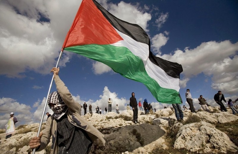 CollotMarta's tweet photo. Da mesi è aumentata la violenza coloniale israeliana contro la Palestina. Occupazioni di terre, distruzioni di case e mezzi di lavoro, uccisioni. Tutto nel silenzio del blocco euroatlantico che stamattina si sveglia con la bocca piena di "terrorismo" e "diritto a difendersi" https://t.co/BVrVri6lsX