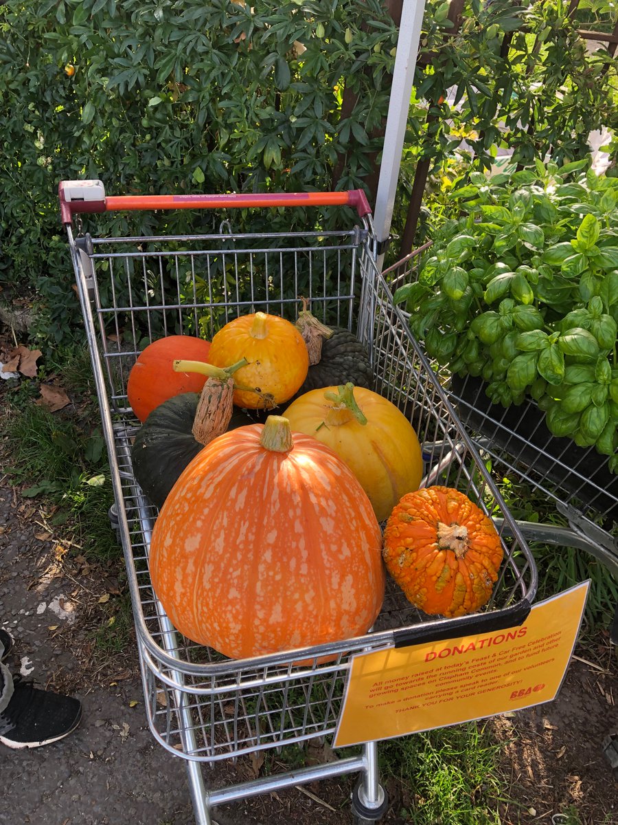 Bandstand Beds tweet media