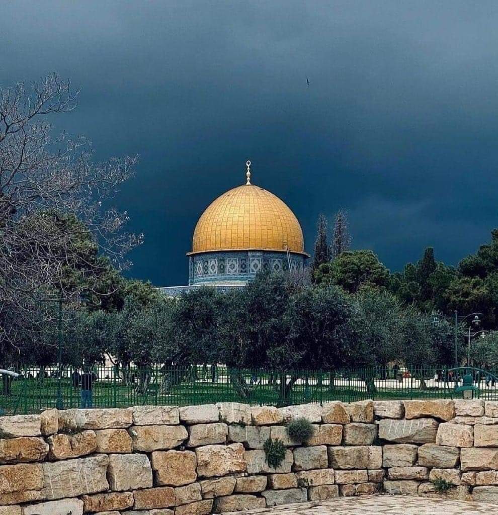 مَتى نَصْرُ اللَّهِ ألا إنَّ نَصْرَ اللَّهِ قَرِيبٌ 🇵🇸 ♥️♥️