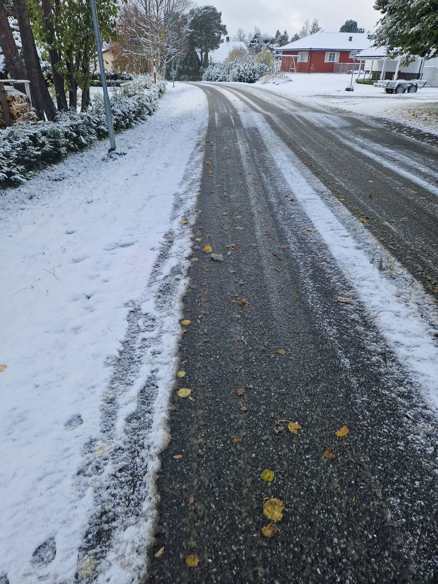 NekosBite's tweet photo. Someone wanna trade? Snow for sun https://t.co/VqdklfQN9n