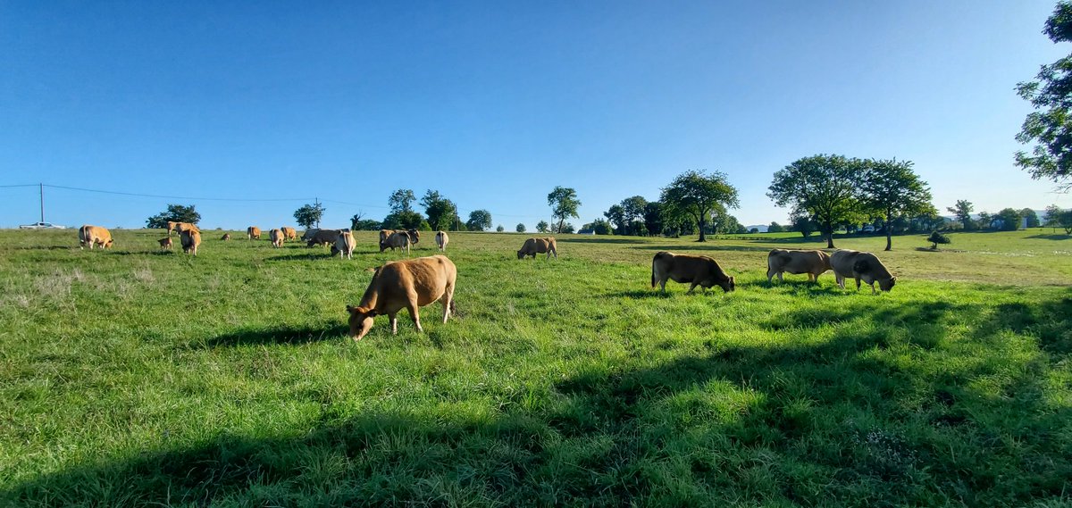agric15's tweet photo. Apparemment ils sauveront la planète quand nous aurons disparu https://t.co/cWQDSkZpsD
