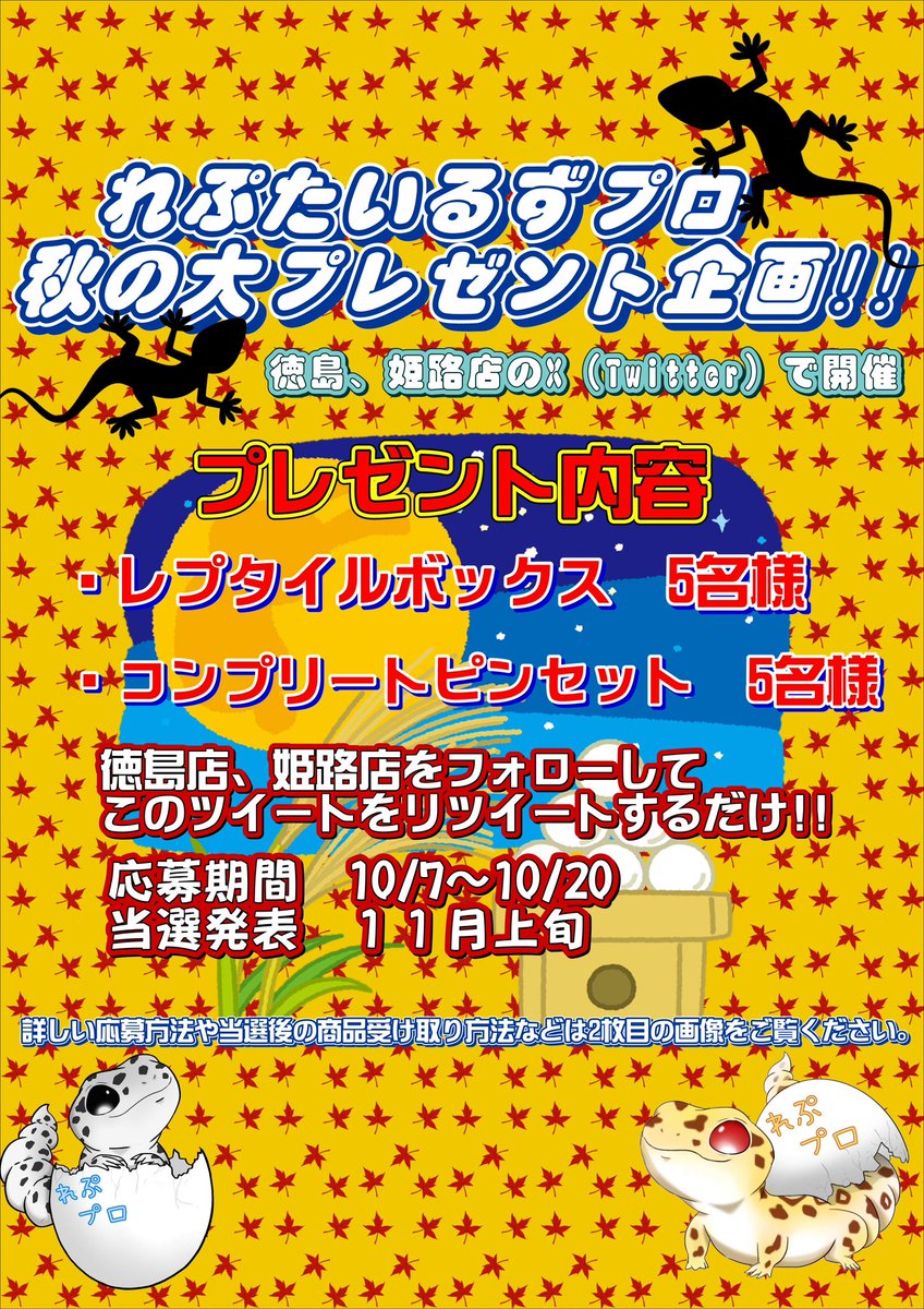 reptilespro03's tweet photo. れぷたいるずプロ フォロワー拡大を目指し、秋の大プレゼント企画を実施します🎁
(徳島店・姫路店のTwitterアカウントが対象となります)
簡単な応募方法で、豪華景品をプレゼントしますので奮ってご参加下さい！
詳細は画像2枚目をご覧下さい
#爬虫類 #れぷたいるずプロ
#レプタイルズボックス https://t.co/30p2iPcSgO