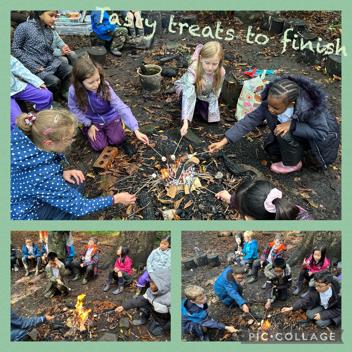 TyntesfieldMB's tweet photo. For the last 2 weeks, our sessions in the woods have involved digging, shelter building, koala catching, bow and arrow making, fire making and of course marshmallow toasting. #TPSoutdoorlearning https://t.co/7CGXzQRqt2