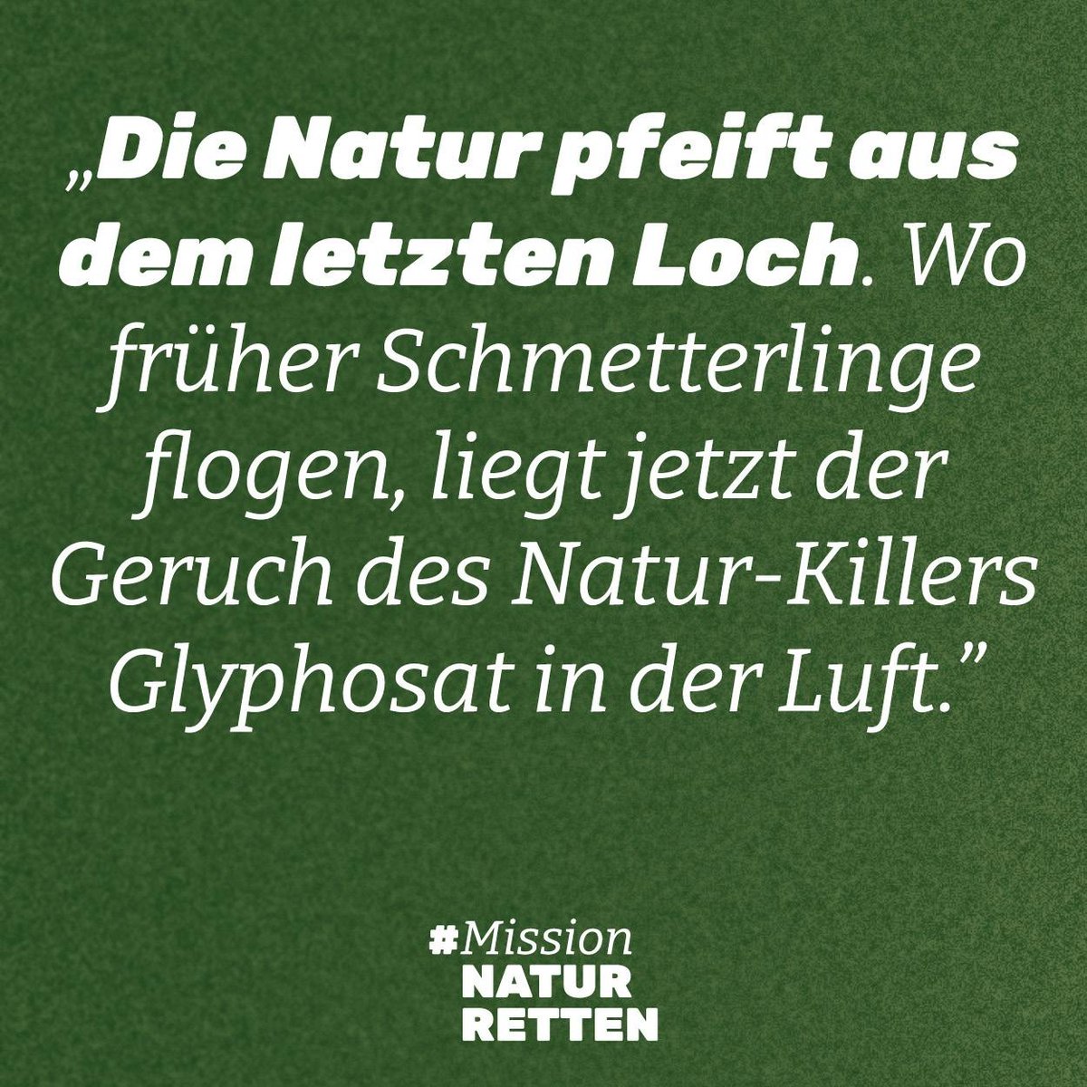 In diesem Thread 🧵 erfahrt ihr, wie wir gemeinsam das Gesetz zur Rettung der Natur voranbringen und die Natur schützen können. Im Sommer haben wir die Abstimmung im EU-Parlament gewonnen. Die Arbeit? Noch nicht vorbei. Hier die wichtigsten Punkte: