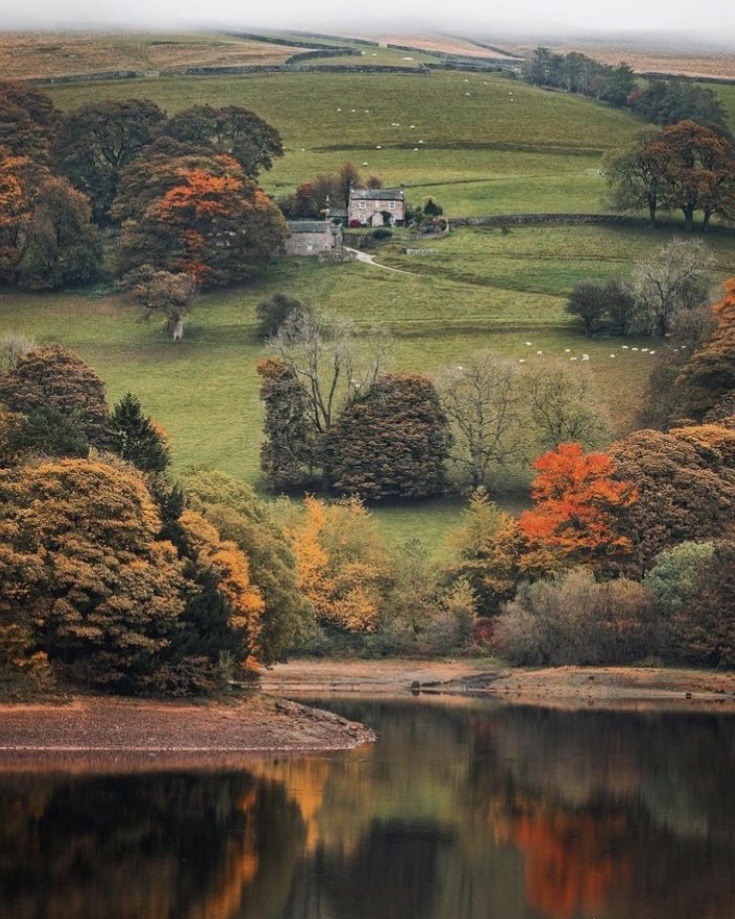 NostAcademia's tweet photo. Cottagecore 🍂 Autumn cozy https://t.co/CEXmO73CRh