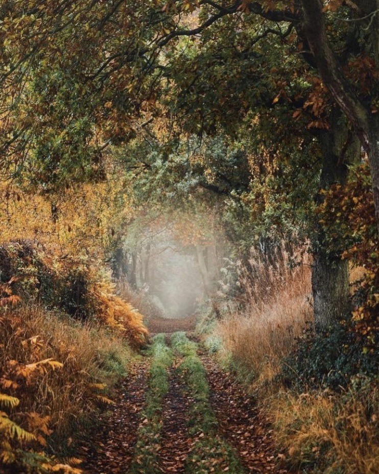 NostAcademia's tweet photo. Cottagecore 🍂 Autumn cozy https://t.co/CEXmO73CRh