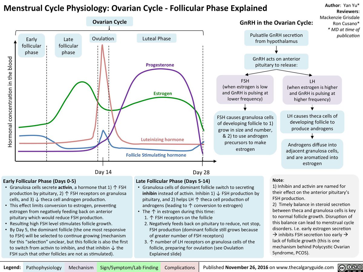 Menstrual Cycle Physiology

#IVF #sperm #SciComm #Research #ScienceTwitter #technology #AcademicChatter #meded #MedTwitter #Infertility #reproductivehealth #MenstrualCycle #OvarianCycle

Credit: @thecalgaryguide