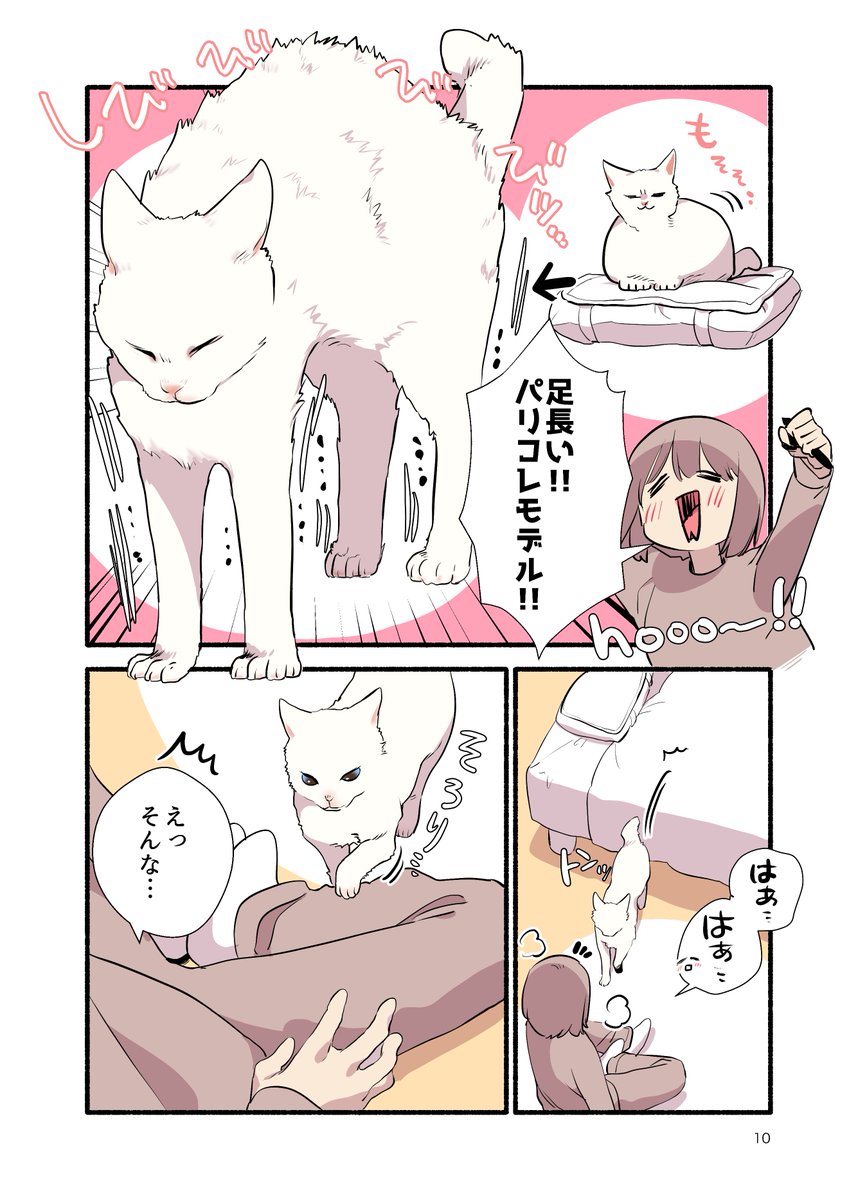 コロナ禍で飼い猫の推し活に目覚めた話(2/2) #漫画が読めるハッシュタグ