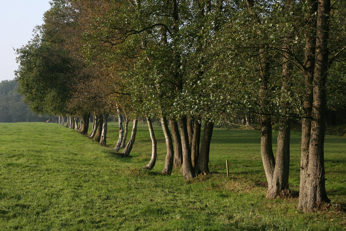 Tpzijl's tweet image. #fot_O_ktober
#namen
@jolandabrwr
#Duurswouderheide