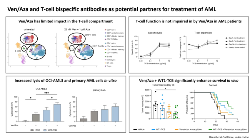 AML_Hub's tweet photo. CONGRESS | #IACH23 | #CoMyDAL
Marion Subklewe @subklewe @LMU_Muenchen describes current immunotherapy landscape in AML and challenges, including target antigen choice. She covers GO as the only currently approved option, antibody-based agents and the need for step-up dosing to mitigate CRS, bispecifics including pre-clinical models with Ven-Aza, and the future of CAR T and NK cells.
@TheIACH #IACH2023 #AMLsm