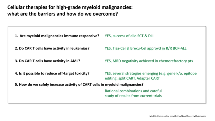 AML_Hub's tweet photo. CONGRESS | #IACH23 | #CoMyDAL
Marion Subklewe @subklewe @LMU_Muenchen describes current immunotherapy landscape in AML and challenges, including target antigen choice. She covers GO as the only currently approved option, antibody-based agents and the need for step-up dosing to mitigate CRS, bispecifics including pre-clinical models with Ven-Aza, and the future of CAR T and NK cells.
@TheIACH #IACH2023 #AMLsm
