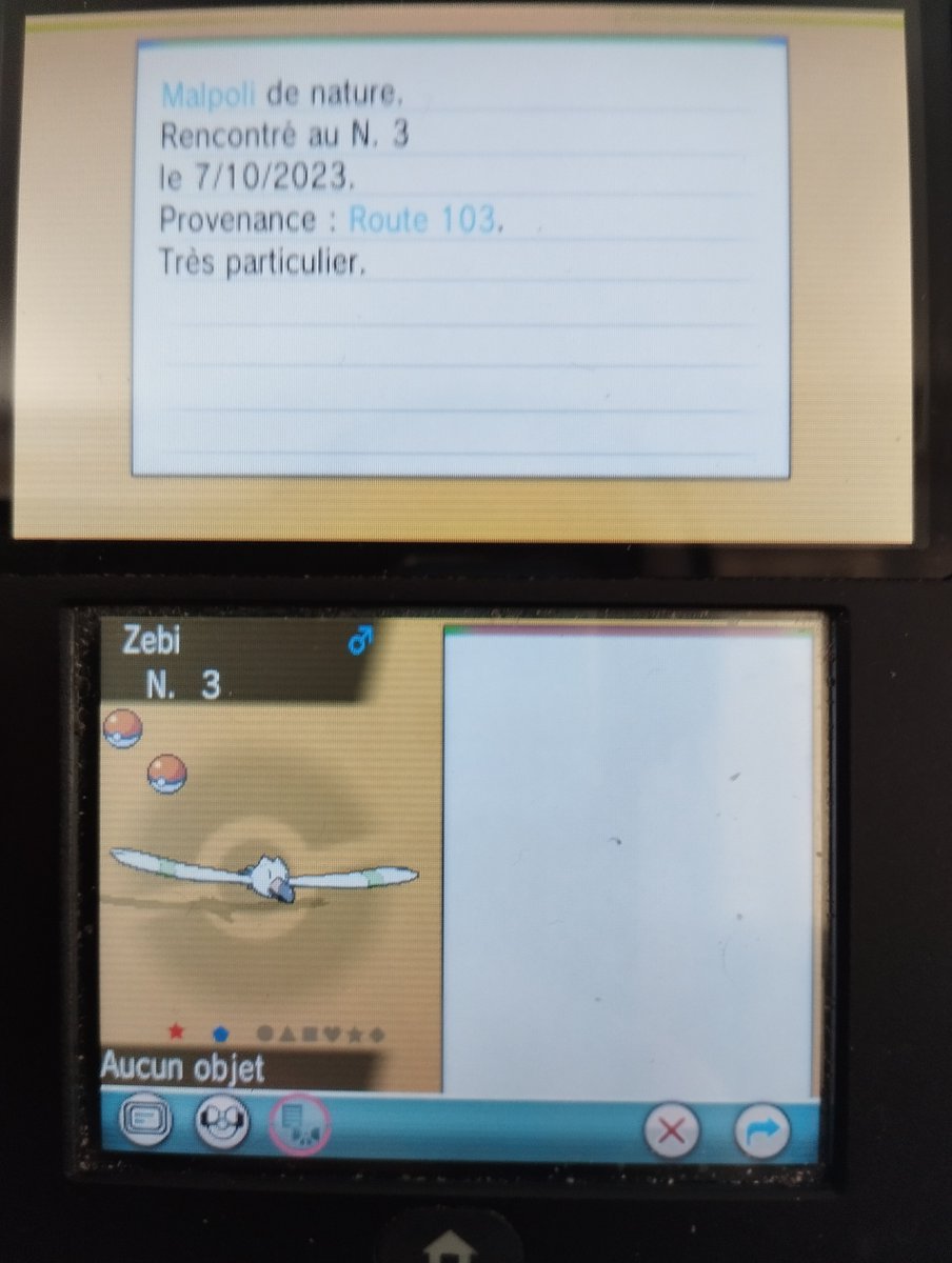 [32] Petit Goélise Shiny qui tombe en 7907 sur Rubis Oméga. Il était la cible de ma shasse sur la Route 103. 
Trés heureux qu'il soit tombé.