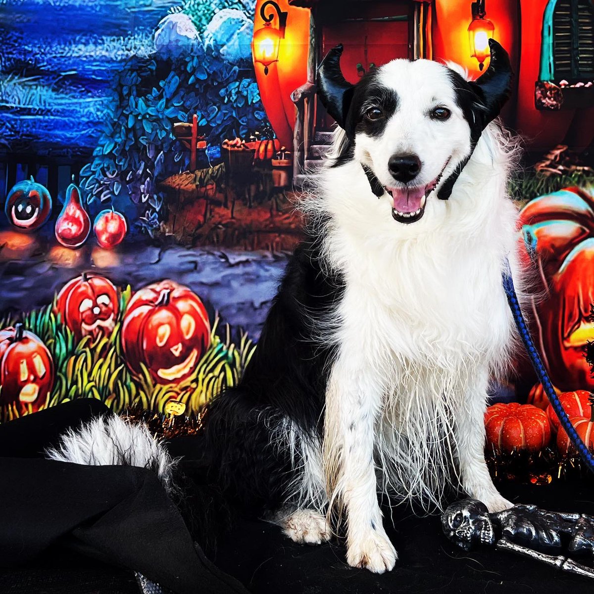 tokyoreo's tweet photo. #Halloween https://t.co/QP9GmDCfZl