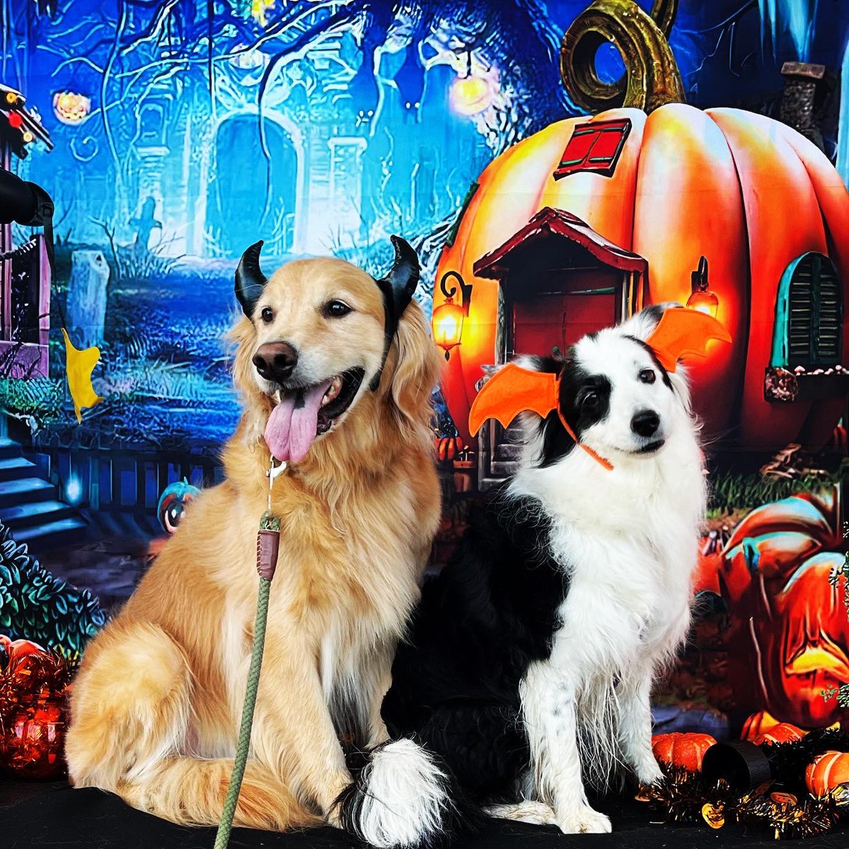 tokyoreo's tweet photo. #Halloween https://t.co/QP9GmDCfZl