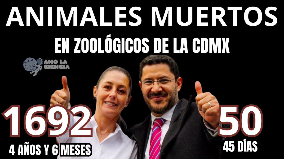 En el quito informe de Sheinbaum-Batres se omitió que en los zoológicos de la CDMX han muerto 1742 animales.

Muertes causadas por los recortes al presupuesto para alimentos, medicamentos y agua potable que durante cuatro años realizó Sheinbaum.