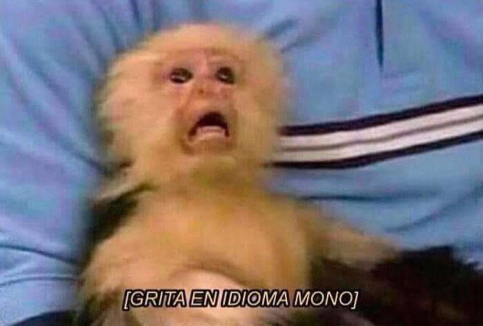 Los Arctic Monkeys oyendo la alerta sísmica después de terminar su concierto