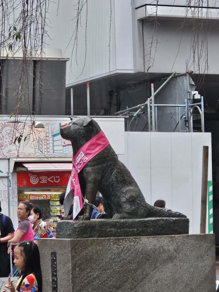 WagyuBeefJP's tweet photo. one week from our 3-week "japanese language school"-adventure in tokyo is over. cant wait for the next 2 weeks and our presentation in japanese #japan #efdaily #eftokyo #tokyo #shibuya https://t.co/BqxxDz6WsD