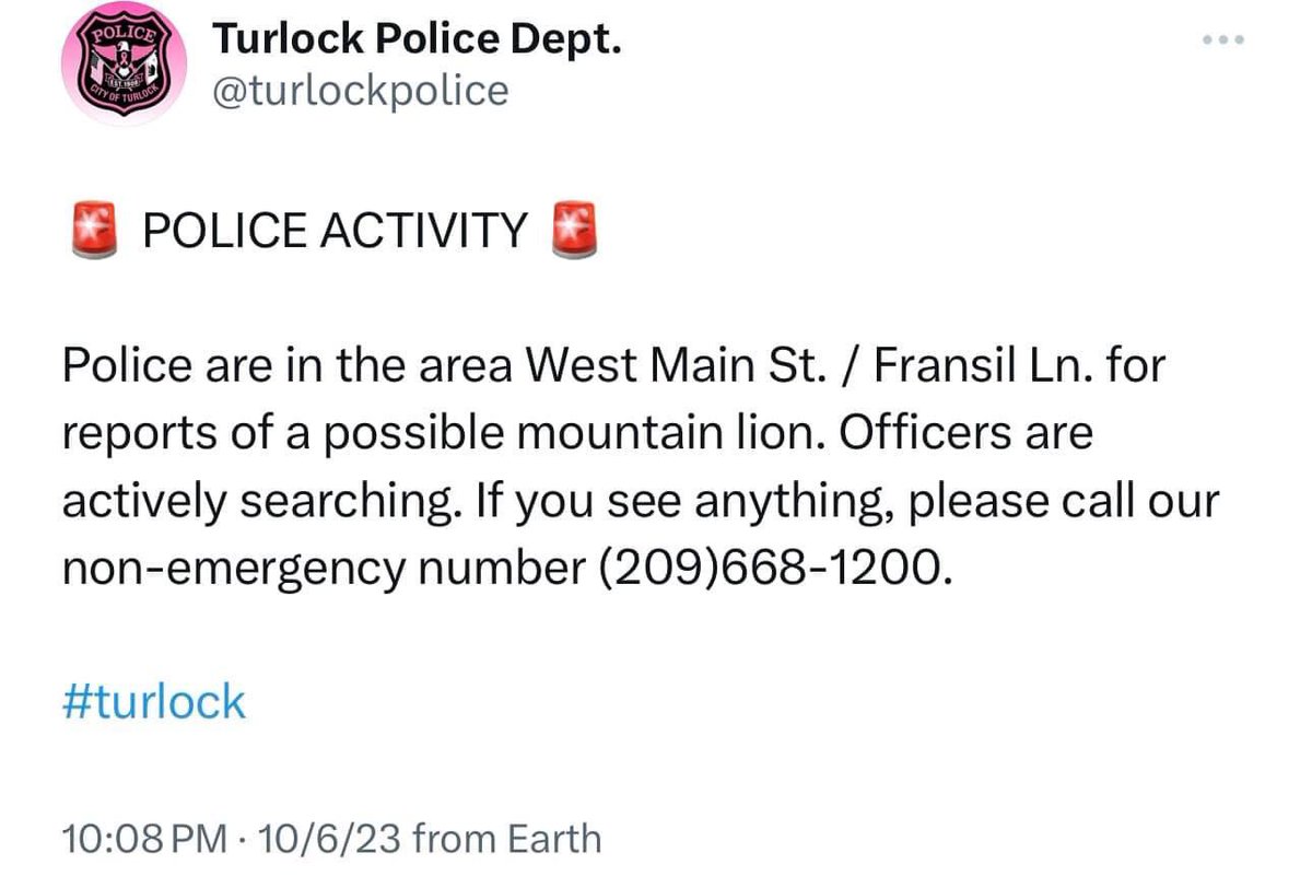 TurlockCityNews's tweet photo. Advisory: Potential Mountain Lion at W. Main + Fransil

Turlock Police have been actively searching for a report of a potential mountain lion seen on video in the area of W. Main Street and Fransil Lane.

If you see anything, please call the Turlock Police Department non-emergency number (209)668-1200.