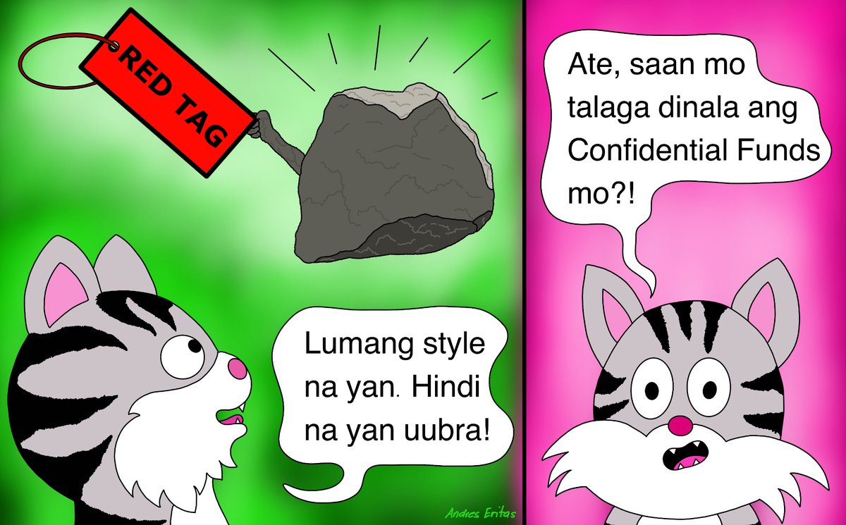 AndresEritas's tweet photo. Confidential Funds #BatoDelaRosa #SaraDuterte https://t.co/pcEMLRL2Qu