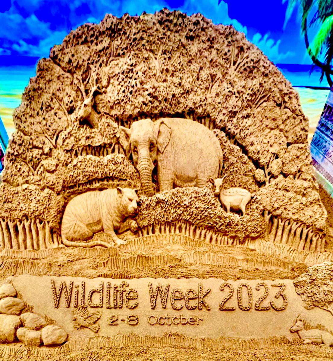 On the occasion of #NationalWildlifeWeek, my Sand Art at Bhubaneswar airport