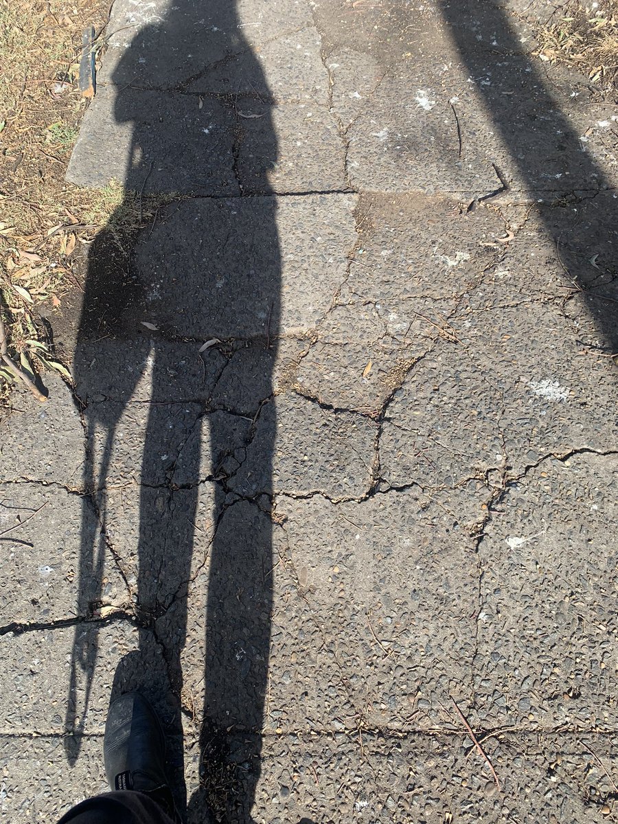 ChristyDanFan's tweet photo. I am currently in Sydney. I know NSW had a Liberal government for 12 years. And was labeled the “gold standard state” by media and Morrison. Well. On my adventures today I found a few things I don’t see in Victoria. Cracked footpaths and roads. Rubbish everywhere an entire strip of shops all vacant. Nowhere to get a coffee. It costed us 120 dollars to get a taxi to drive 15km from the airport to where we were staying because of all the tolls. I don’t want to bag NSW. I don’t want to be mean. But what I am pissed off about is the constant praise of Sydney and the bashing of Melbourne by people in the media. The result of having a Liberal government in NSW for 12 years clearly isn’t the same as having a Labor government in Victoria for 9 years. A shit load has been done by Dans government. Nothing got done in NSW by the Liberals. That is just a fact.