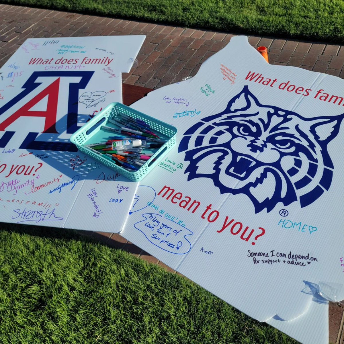 weirdorunning's tweet photo. A week late, but I got the amazing opportunity to emcee the 5k for Family Weekend at UArizona last weekend. Echoing the sentiment from the weekend, "Whether you are here from across town, across the country, or around the globe, we are happy you were here." https://t.co/hkxAm7FWH9