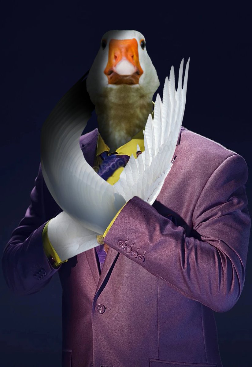 Doctor_Denial's tweet photo. @MrMythicorn Saul Gooseman https://t.co/t6mOHreJqa