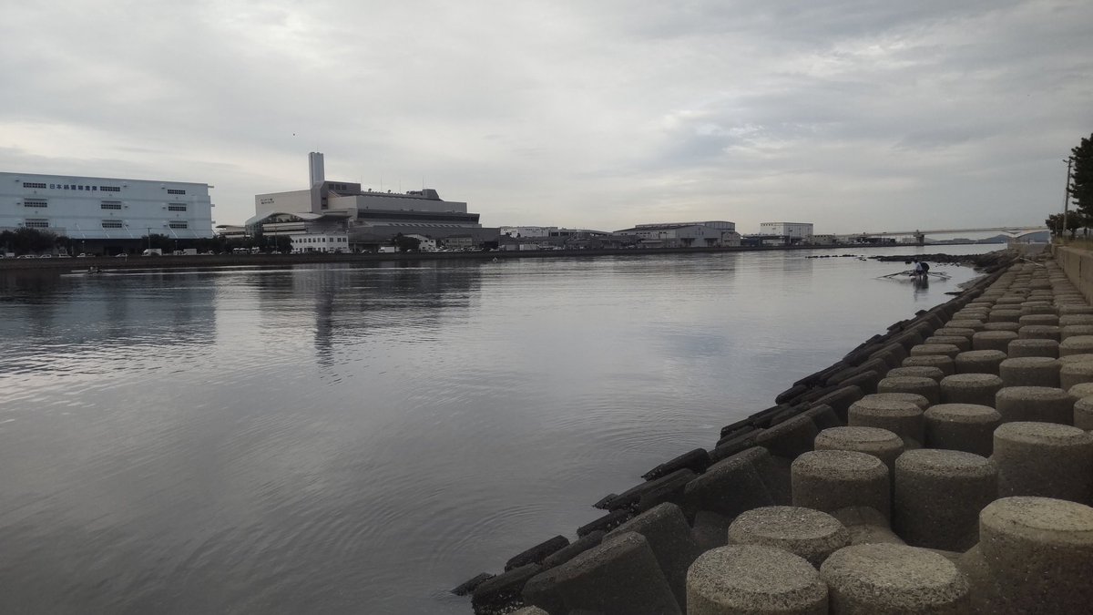 SDGs'
⛲️名島西公園⛲️釣り場🐠
環境保全
釣り人が居れば水辺は綺麗になる
釣り人による清掃活動🌈