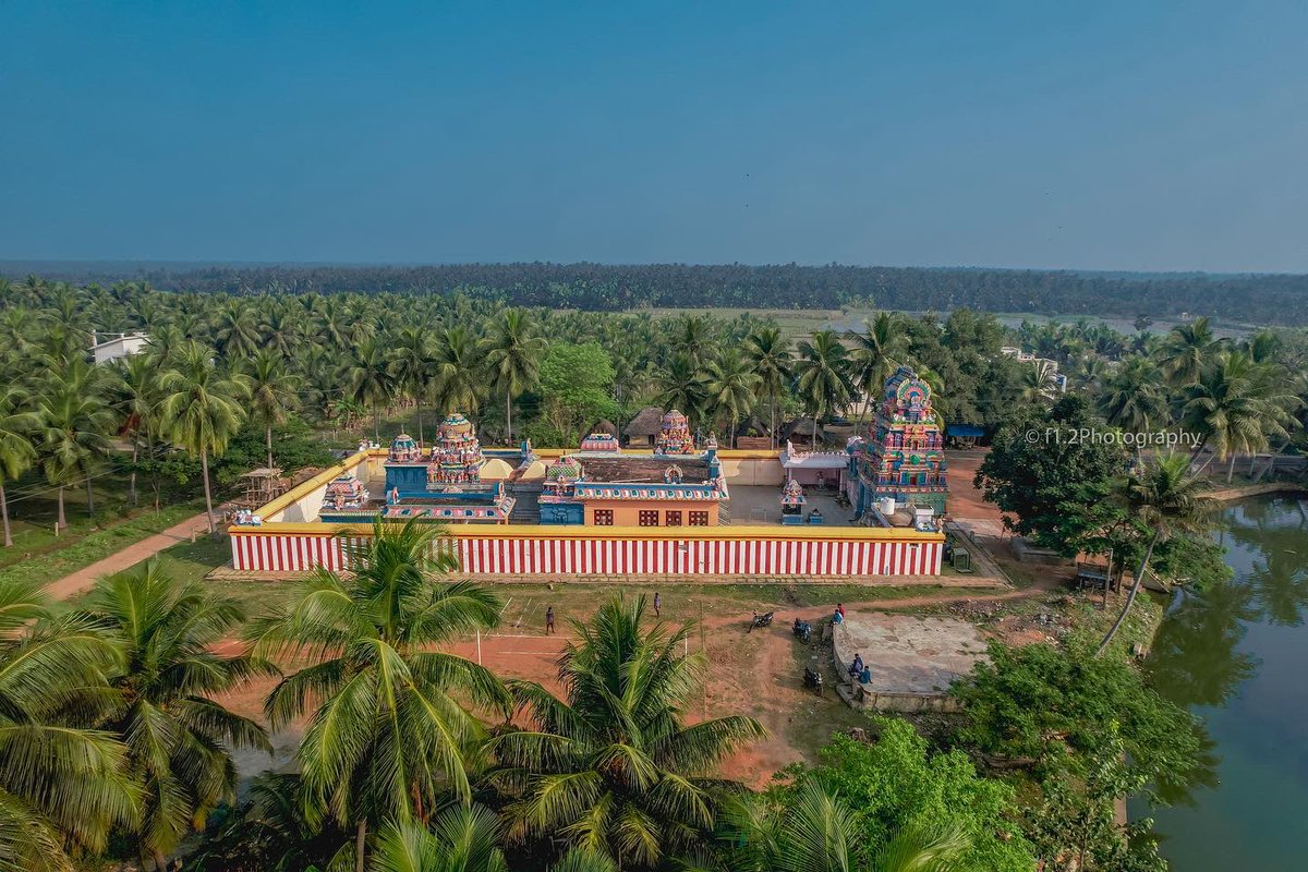 #BounceBackDelta #CauveryIssue
A small temple pond in we rejuvenated for the purpose of Devotees and Cattles of Lord Shiva temple Which had not been rehabilitated for many years.
Area of the lake: 4 acres. 
Water Saved: 6 crore litres.