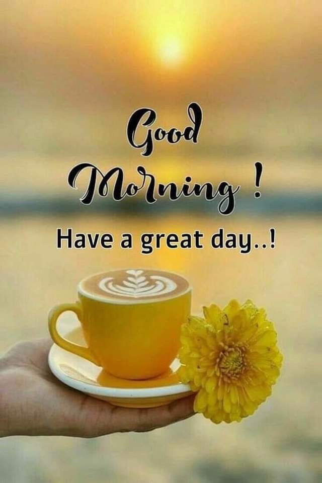 Muhamma76497407's tweet photo. @NithikShya https://t.co/cf9tSSh0BK