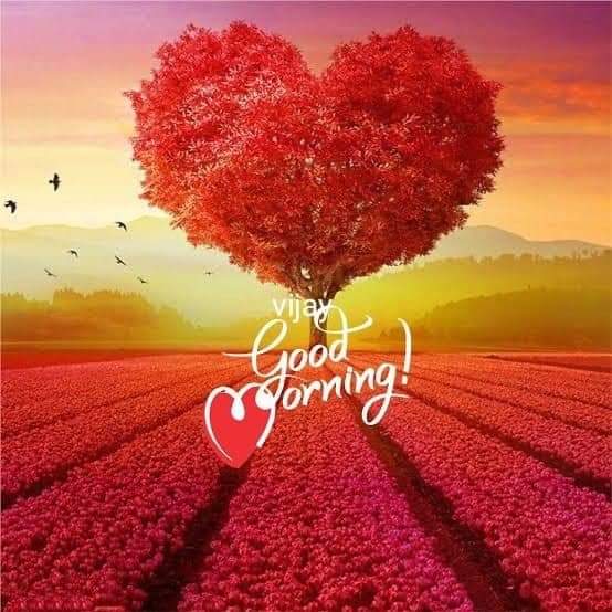 Muhamma76497407's tweet photo. @kedimaya20 https://t.co/UiM9ZTc4xF