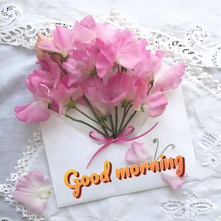 Muhamma76497407's tweet photo. @MARIALUISAMAR5 @CrisM_Pereyra https://t.co/c7QEFOQRaR