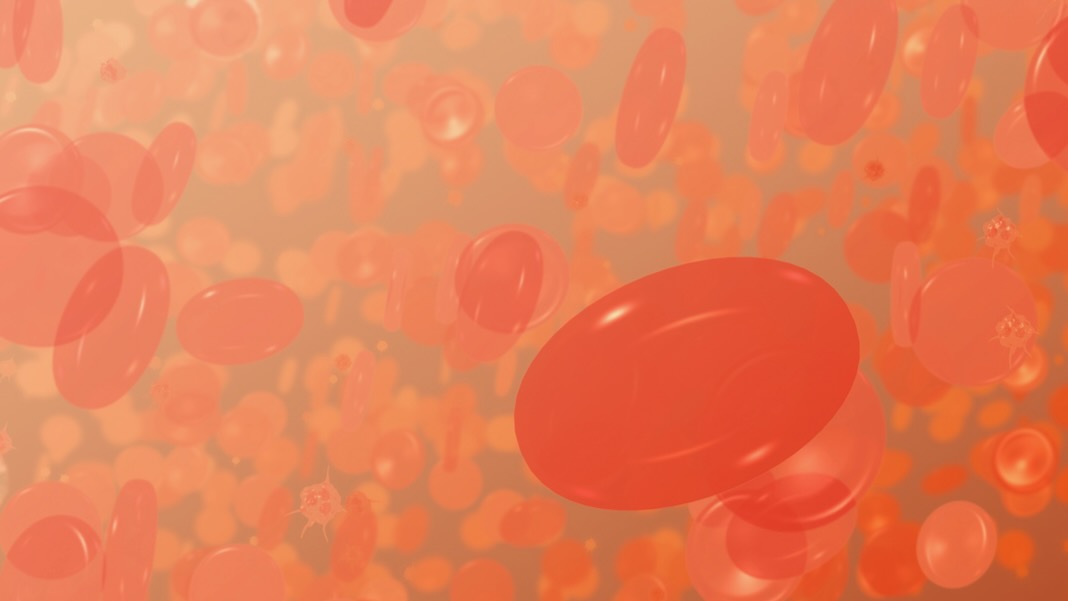 aramir1010's tweet photo. Futturnauta, Scientists Unearth Brand New Links Between Genes and Disease in Our Blood #Futturnauta https://t.co/KaWNIiCBjJ https://t.co/kxFVX0wage