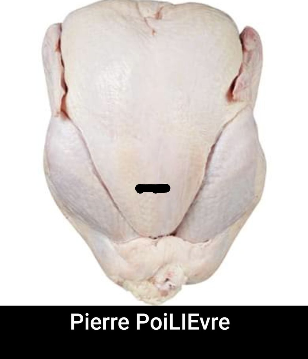 chamchuk_nick's tweet photo. @Tapestry236 #EePee would have run like a $30 Turkey https://t.co/F8k0FkfWMk