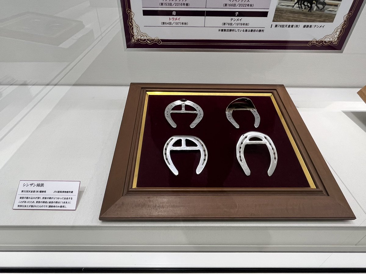 えぐいて 俺たちのテイエムオペラオーの蹄鉄 シンザン鉄、息子