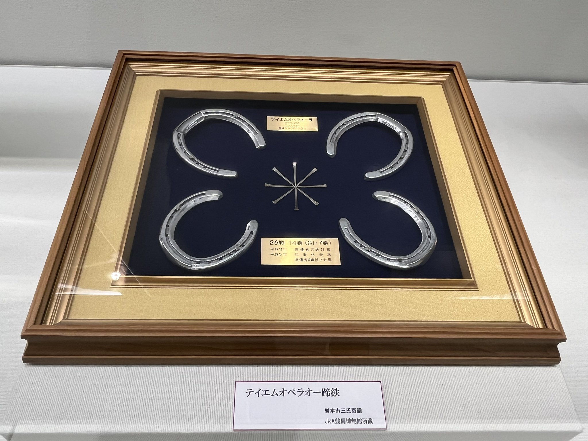 テイエムオペラオー蹄鉄の盾 テイエムオペラオー蹄鉄の盾