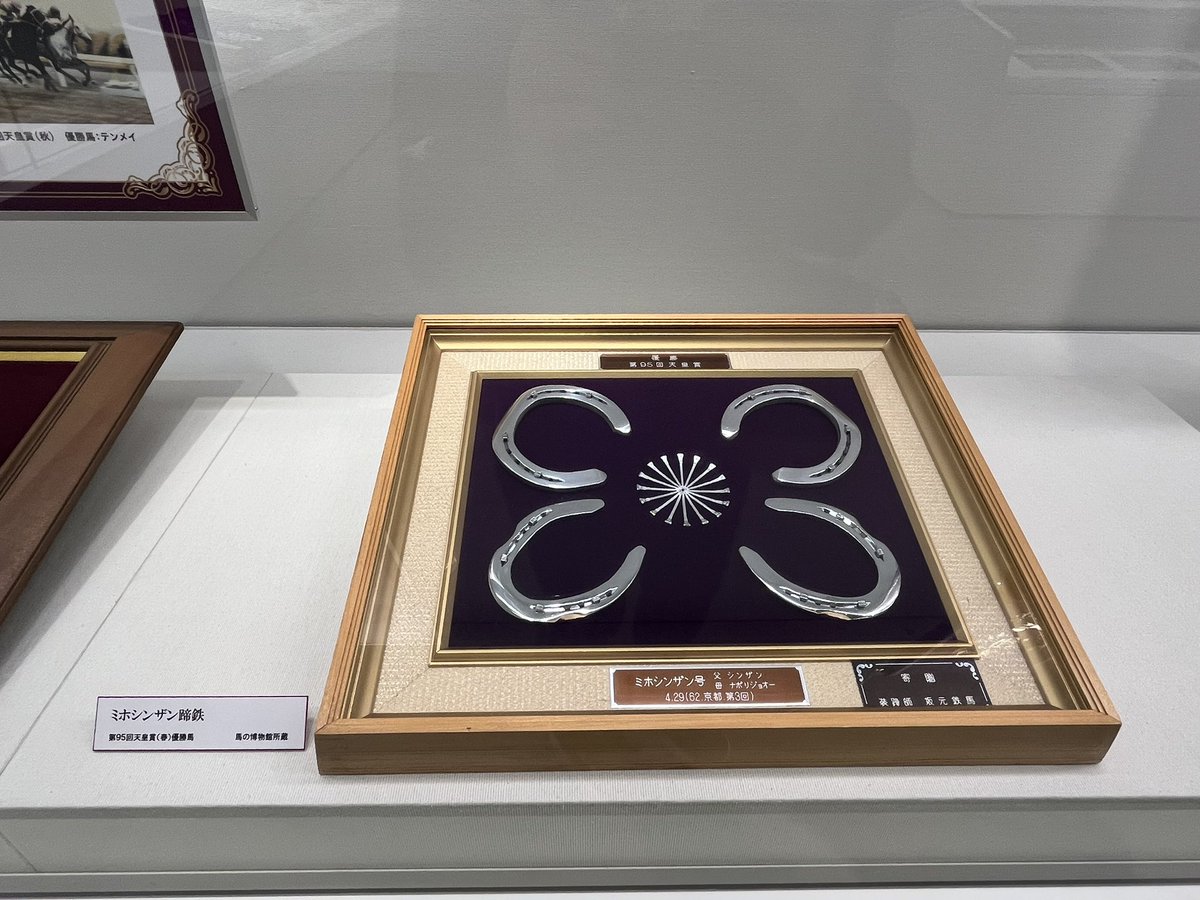 えぐいて 俺たちのテイエムオペラオーの蹄鉄 シンザン鉄、息子