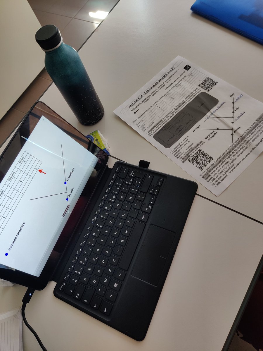 paris_segolene's tweet photo. Premier test de la #vidéo réalisée cet été pour mes #6e sur les #arbres de #parenté dans la cadre du #nouveauprogramme de #sciences #SVT
Retrouvez cette activité et l'ensemble du chapitre dans quelques jours sur mon blog.
Vidéo sur ma chaîne YT : https://t.co/zrzzGP7TTn https://t.co/0T2buBrF3F