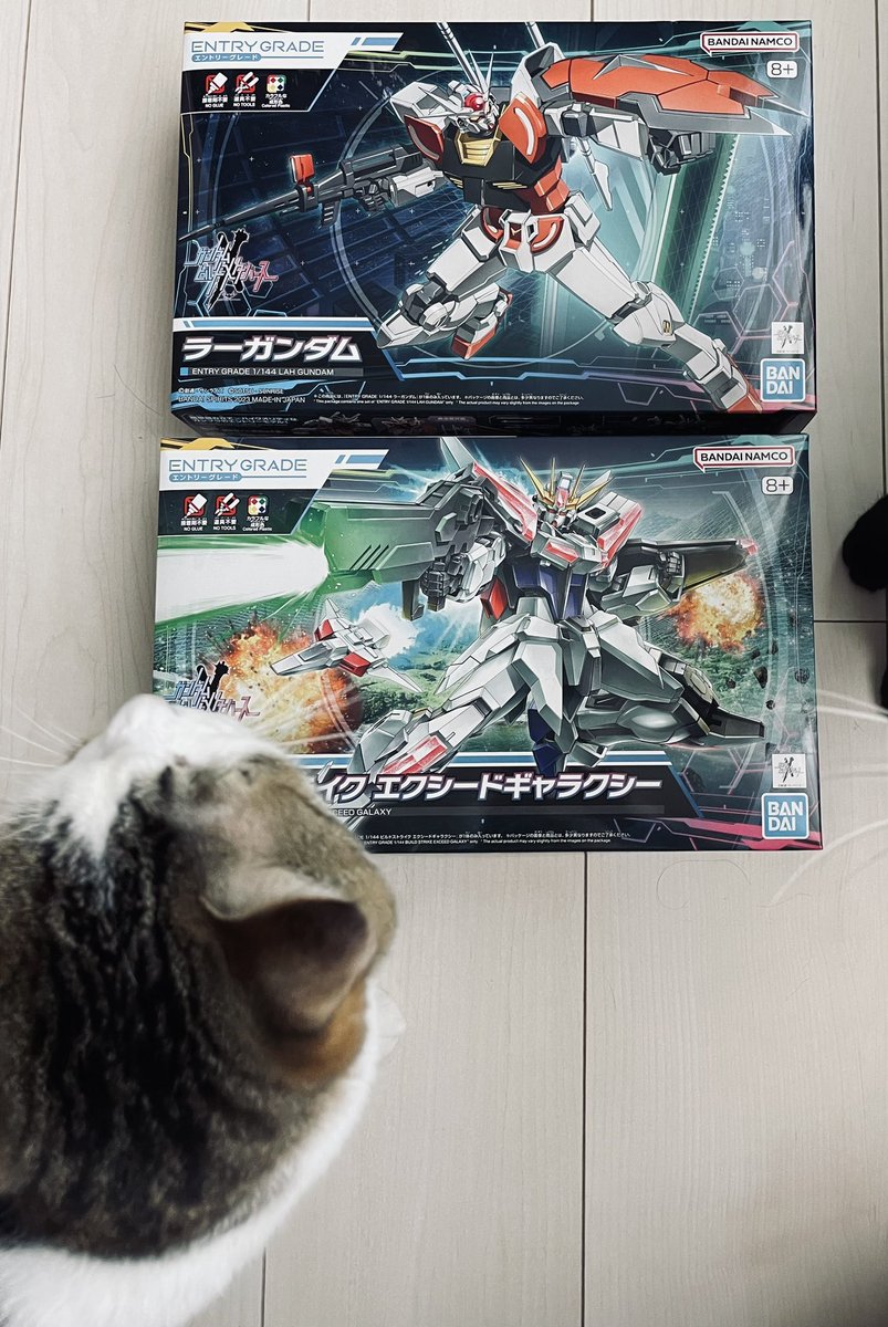 Mtf6wfg's tweet photo. 今日も無事にガンプラ新商品を鹵獲出来ました！
『ガンダムビルドメタバース』観て
より作りたくなりました。

#ガンプラ #ガンダムビルドメタバース #ラーガンダム #ビルドストライクエク��ードギャラクシー https://t.co/ybYZAzsZhe