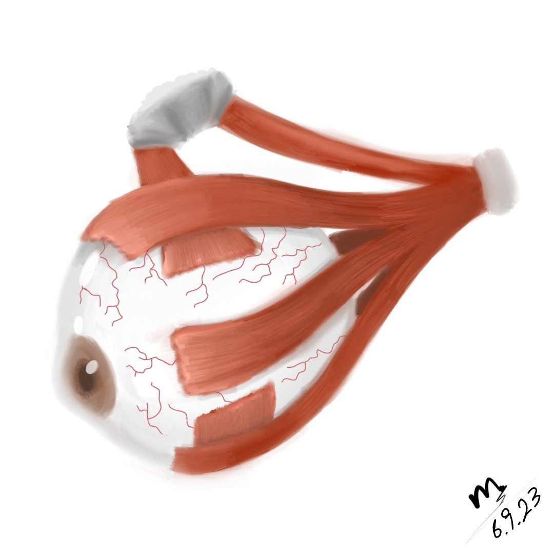 msa3693's tweet photo. Mohammed A. Netter 🐻
#ilustration #Medical https://t.co/iWgQ9JvCUS