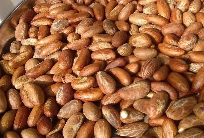 odulukwe12785's tweet photo. Can you give one health benefit of bitter kola?
Atiku. Forgery. Israel. Hillary Clinton. Kenneth Okonkwo. Femi. Bela Shmurda. Beckham. Alex Ferguson. Sexxy Red. Deloitte. MC Oluomo. Pastor Adeboye. #MUWomen #ENLA https://t.co/XC9LGekulF